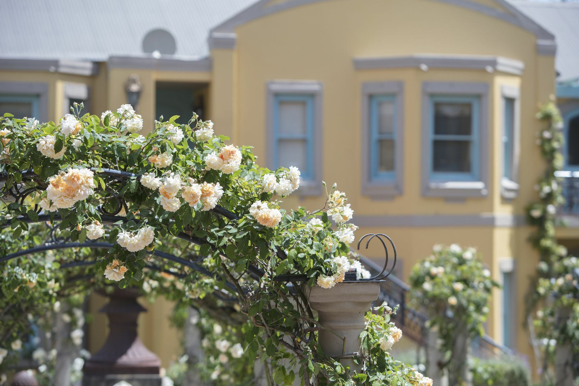 Franschhoek Country House & Villas Екстериор снимка