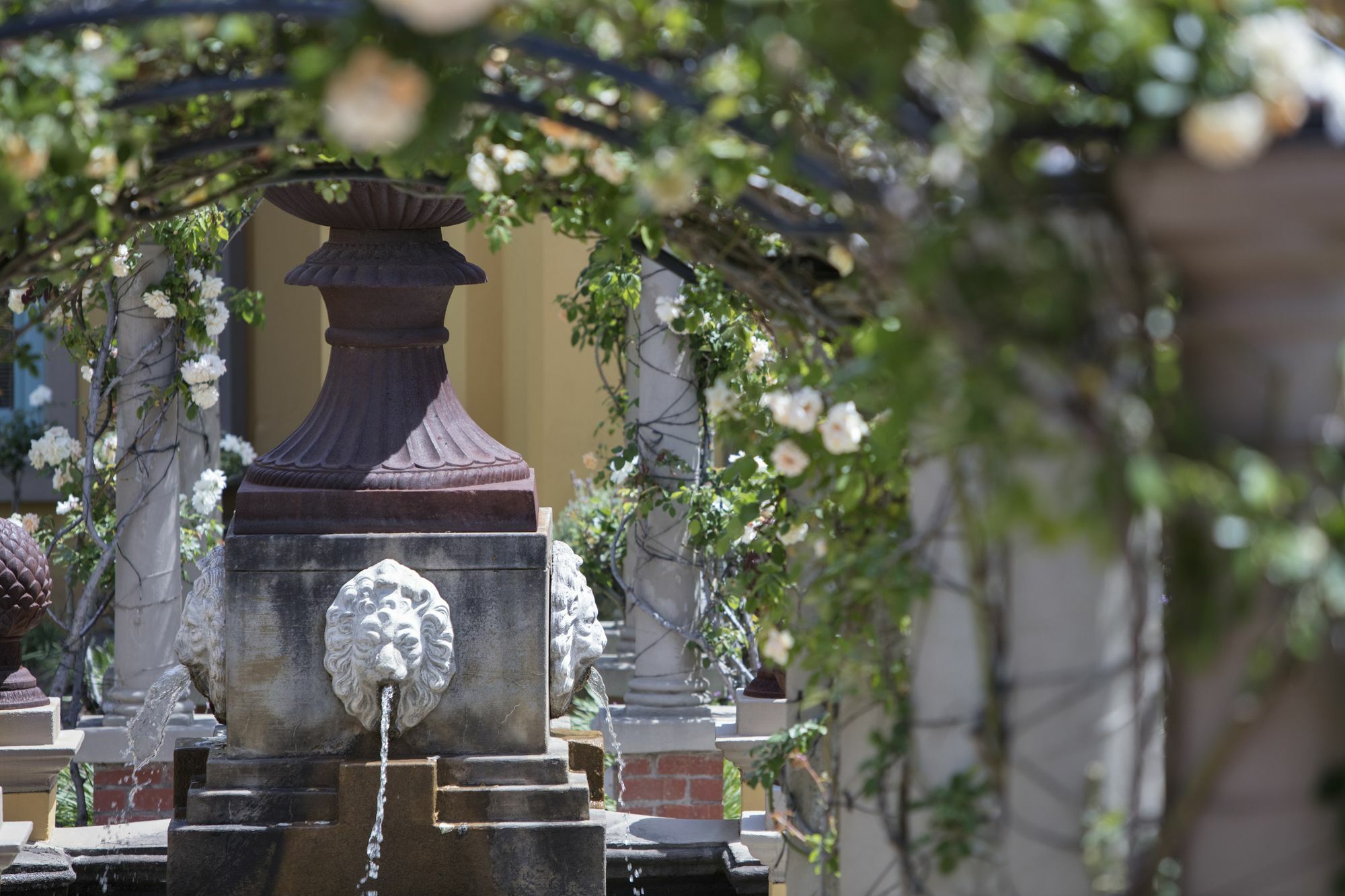 Franschhoek Country House & Villas Екстериор снимка