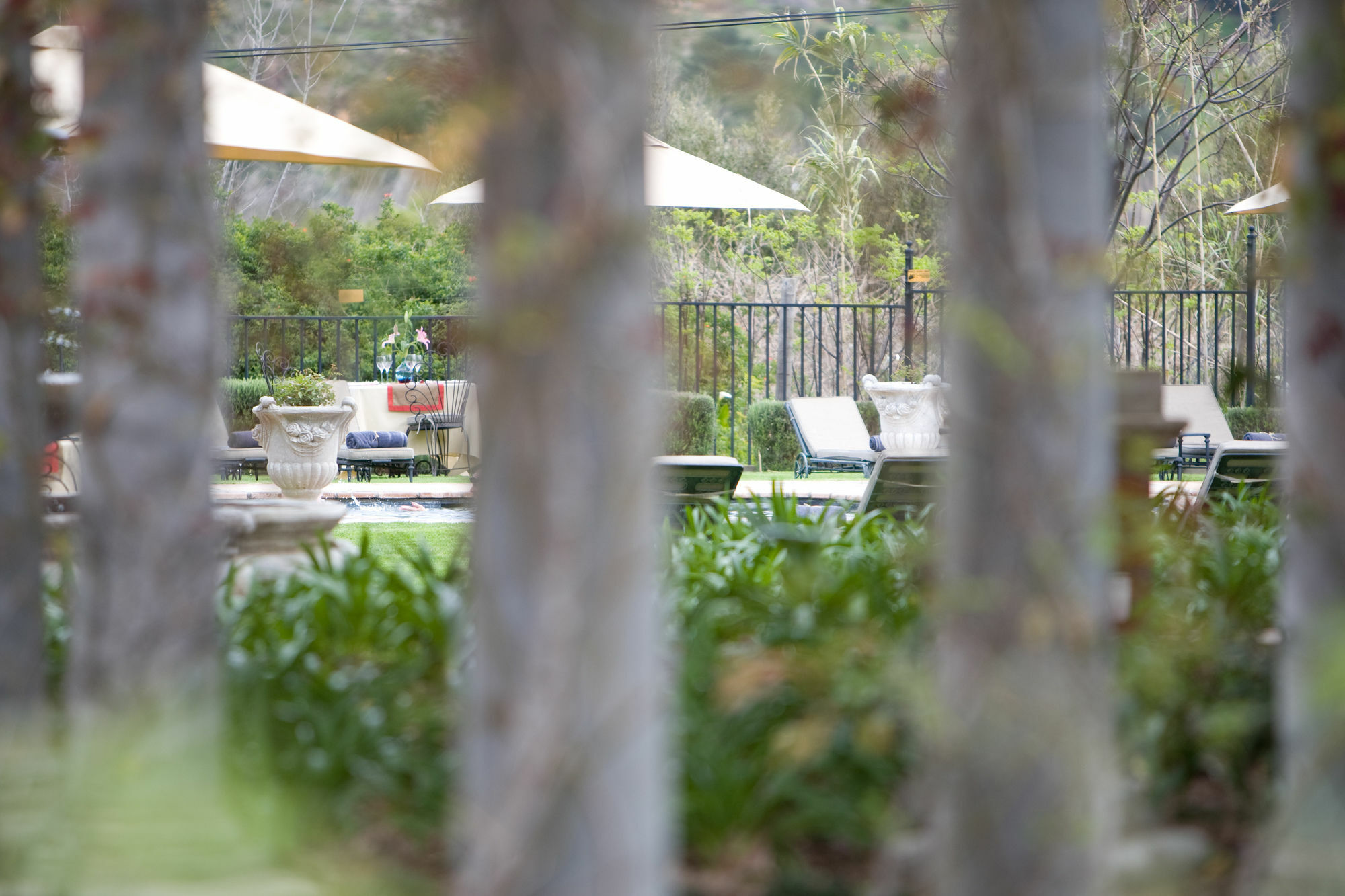 Franschhoek Country House & Villas Екстериор снимка